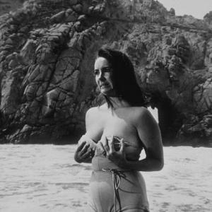 Sandpiper Elizabeth Taylor 1965 MGM MPTV