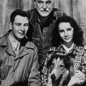 Courgae of Lassie Elizabeth Taylor Lassie F Morgan and T Drake 1946 MGM MPTV