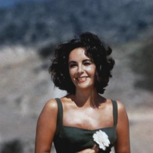 Suddenly Last Summer Elizabeth Taylor 1959 Columbia Pictures