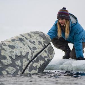 Still of Drew Barrymore in Big Miracle 2012