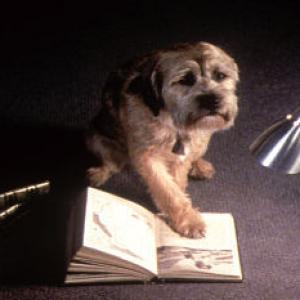 Hubble voiced by Matthew Broderick  catches up on his reading