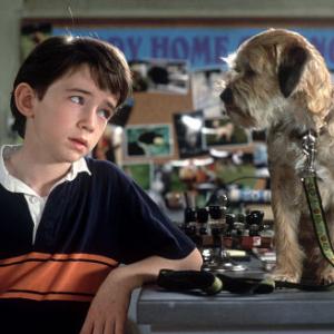 Still of Matthew Broderick and Liam Aiken in Good Boy! 2003