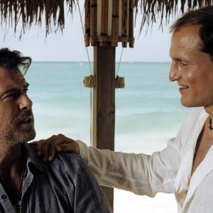 Still of Pierce Brosnan and Woody Harrelson in After the Sunset (2004)