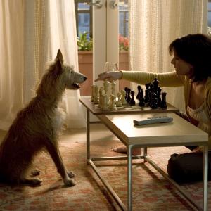 Still of Sandra Bullock in The Lake House (2006)