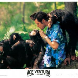 Still of Jim Carrey in Ace Ventura: When Nature Calls (1995)