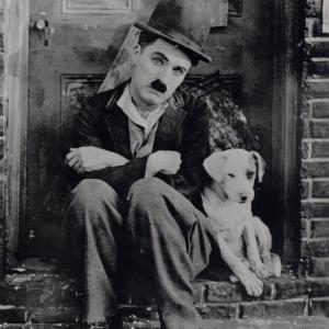 Still of Charles Chaplin in A Dog's Life (1918)