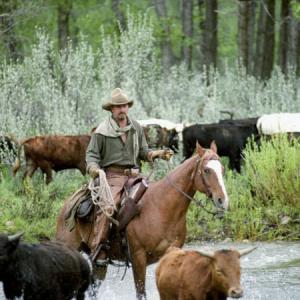 Still of Kevin Costner in Open Range (2003)
