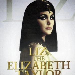 Sherilyn Fenn in Liz: The Elizabeth Taylor Story (1995)