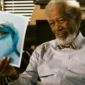 Still of Morgan Freeman in Dolphin Tale (2011)