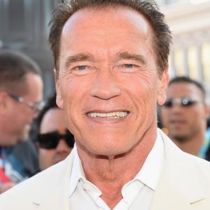 Arnold Schwarzenegger at event of Pabegimo planas 2013