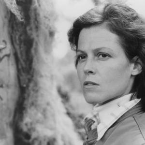 Still of Sigourney Weaver in Gorillas in the Mist The Story of Dian Fossey 1988
