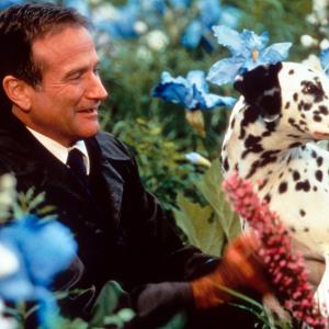 Still of Robin Williams in Kur nunesa sapnai (1998)