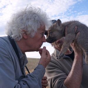 Still of JeanJacques Annaud in Wolf Totem 2015