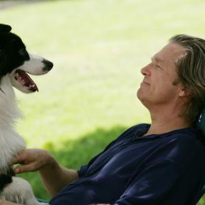 Still of Jeff Bridges in A Dog Year (2009)
