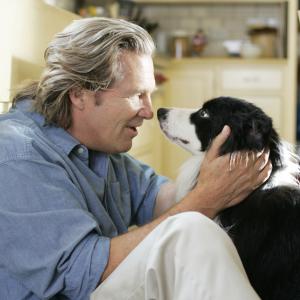 Still of Jeff Bridges in A Dog Year 2009