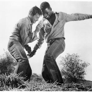 Still of Tony Curtis and Sidney Poitier in The Defiant Ones (1958)