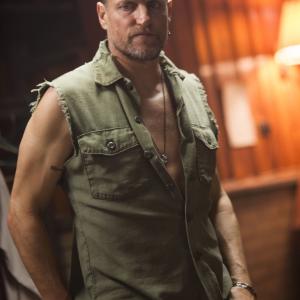 Still of Woody Harrelson in Out of the Furnace 2013
