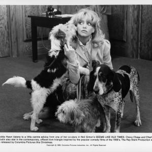 Still of Goldie Hawn in Seems Like Old Times (1980)