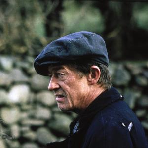 Still of John Hurt in The Field (1990)