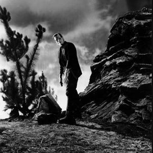 Frankenstein Boris Karloff 1931 Universal IV