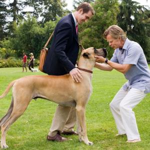 Still of William H. Macy and Lee Pace in Marmaduke (2010)