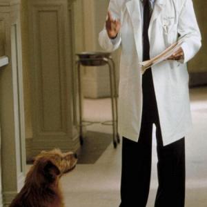 Still of Eddie Murphy in Dr Dolittle 2 2001