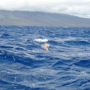 Alexandra Paul swims the 10 mile Maui Channel 2006