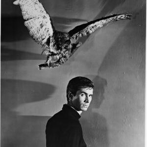 Anthony Perkins in Psichopatas (1960)