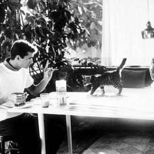 Anthony Perkins with his pet cat at home in Los Angeles CA 1959