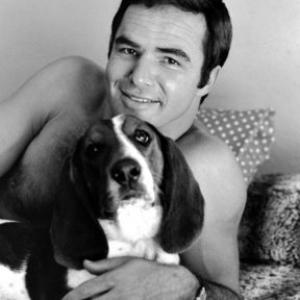 Burt Reynolds with his dog Bertha at his Sherman Oaks CA home 1970  1978 Gene Trindl