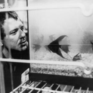 Still of Mickey Rourke in Rumble Fish (1983)