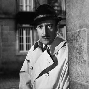 Still of Peter Sellers in A Shot in the Dark (1964)