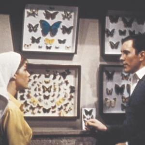 Still of Terence Stamp and Samantha Eggar in The Collector 1965