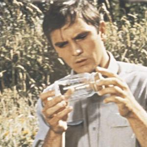 Still of Terence Stamp in The Collector 1965