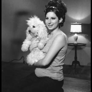 Barbra Streisand with her poodle 