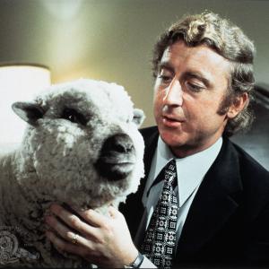 Still of Gene Wilder in Everything You Always Wanted to Know About Sex  But Were Afraid to Ask 1972