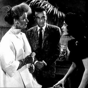 375612 Katharine Hepburn Montgomery Clift and Elizabeth Taylor in Suddenly Last Summer 1959 Columbia