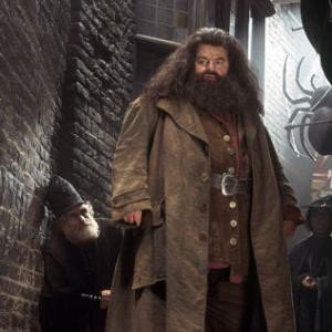 ROBBIE COLTRANE as Hagrid in Warner Bros Pictures Harry Potter and the Chamber of Secrets