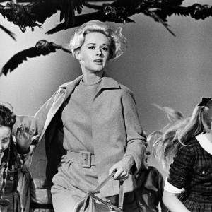 Still of Tippi Hedren in The Birds (1963)