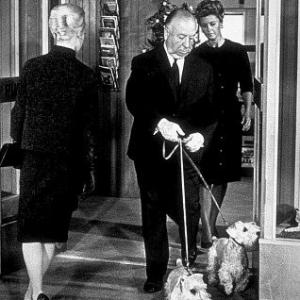 The Birds Tippi Hedren Alfred Hitchcock Cameo Appearance 1963 Universal