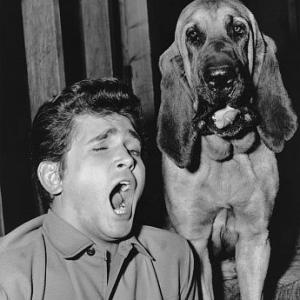 Bonanza Michael Landon in Hound Dog 1965