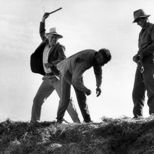 Still of Strother Martin in Cool Hand Luke 1967