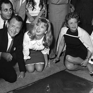 Hayley Mills with parents John Mills and Mary Hayley Bell in front of Grauman's Chinese Theatre February 22, 1964
