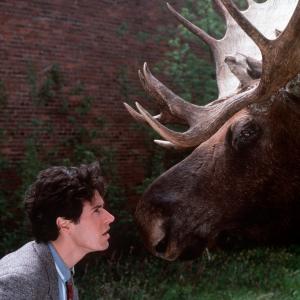 Still of Rob Morrow in Northern Exposure 1990
