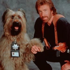 Chuck Norris in Top Dog (1995)