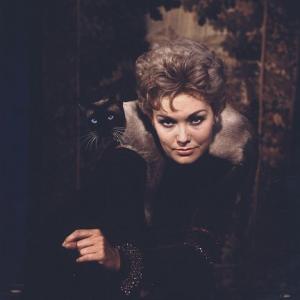 Bell Book and Candle Kim Novak 1958 Columbia
