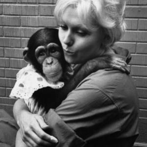 Kim Novak and monkey 1961 © 1978 Bob Willoughby