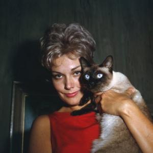 Kim Novak and her pet 1961 © 1978 Wallace Seawell