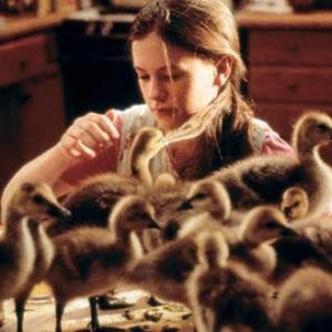 Still of Anna Paquin in Fly Away Home 1996