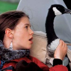 Still of Anna Paquin in Fly Away Home 1996